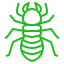 termite